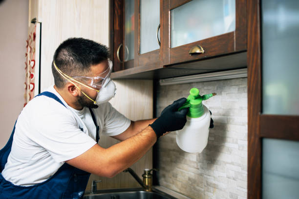 Professional Pest Control in Springfield, SD