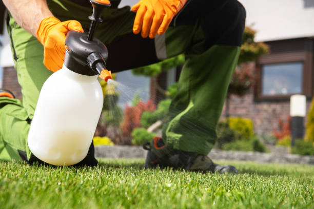Best Commercial Pest Control Services  in Springfield, SD