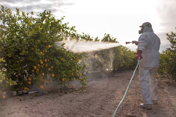 Best Cockroach Control Services  in Springfield, SD