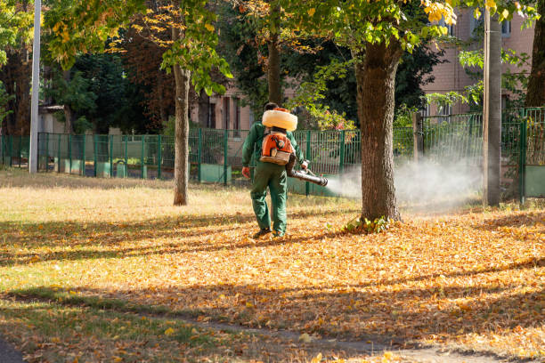 Pest Prevention Services in Springfield, SD